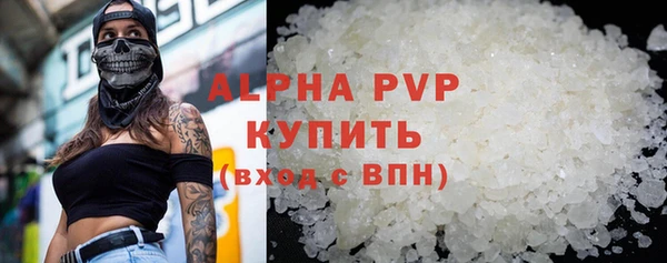 МДПВ Каменногорск